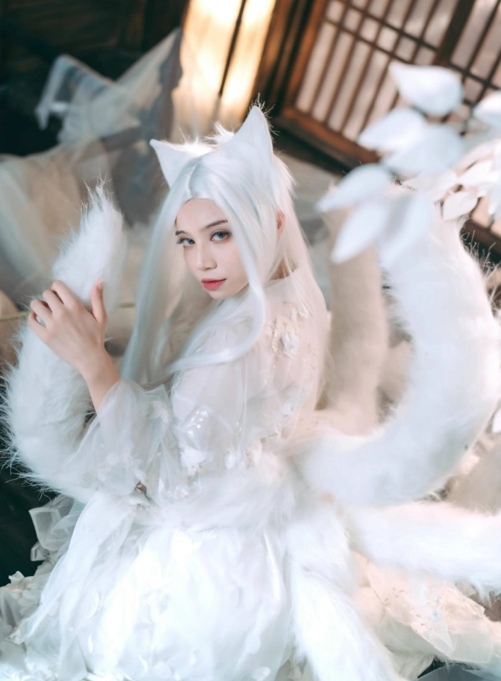 贰加六 Cosplay写真套图合集下载